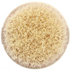 EcoTools, щітка для сухого масажу, 1 шт.